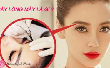 ky-thuat-cay-long-may-la-gi