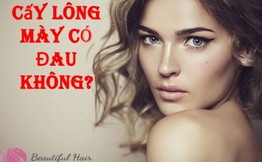cay-long-may-co-dau-khong