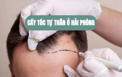 goi-y-dia-chi-cay-toc-tu-than-tai-hai-phong-uy-tin-nhieu-nguoi-tin-chon