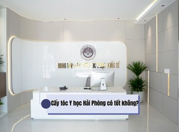 cay-toc-y-hoc-hai-phong-co-tot-khong