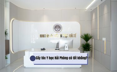 cay-toc-y-hoc-hai-phong-co-tot-khong