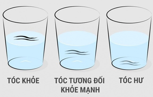 cách kiểm tra tóc có bị yêu hay không
